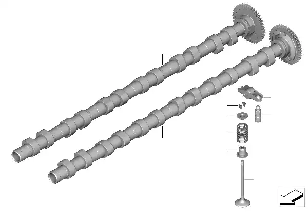 Accion.p.correntes distrib./árvore cames